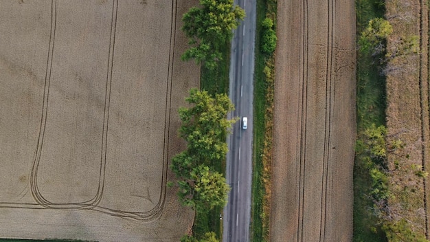 Les voitures conduisent la route avec des arbres entre de grands champs de blé jaune mûr en été agricole