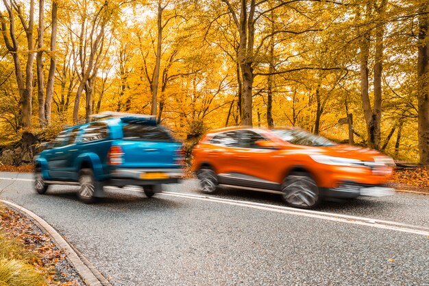 Voitures floues sur une route à travers le bois en automne