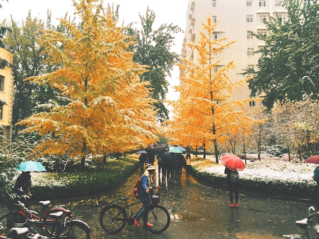 Photo des voitures garées devant le bâtiment.