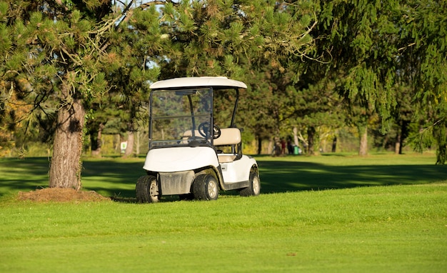 Voiturettes de golf sur un terrain de golf