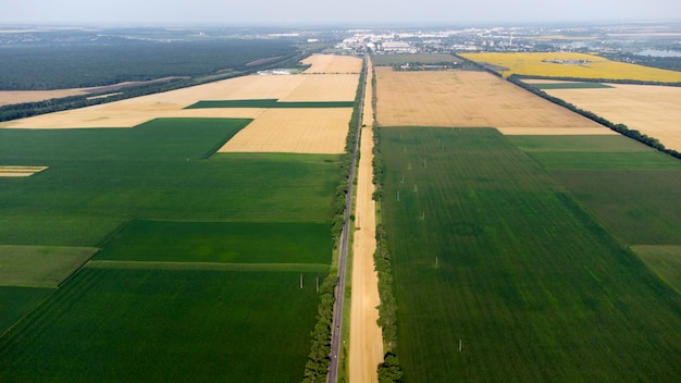 Vol de vue aérienne de drone au-dessus de différents champs agricoles jaunes et verts