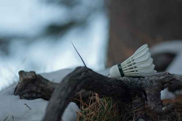 Le volant professionnel en plumes pour jouer au badminton se trouve à l'extérieur en hiver.