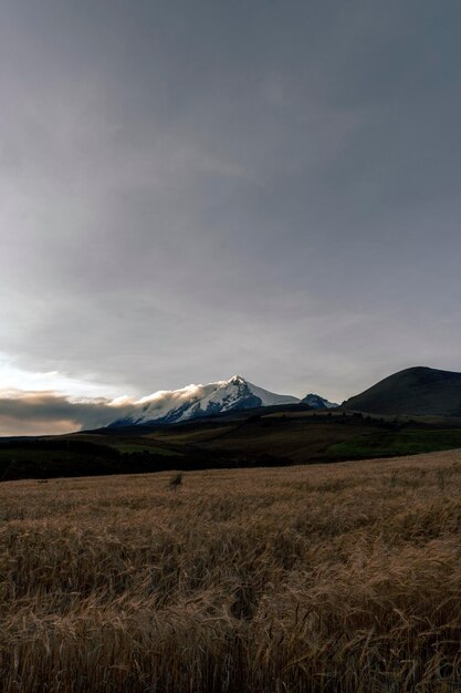 Volcan de Cayambe avec le glacier du maire en Équateur Cordillère des Andes