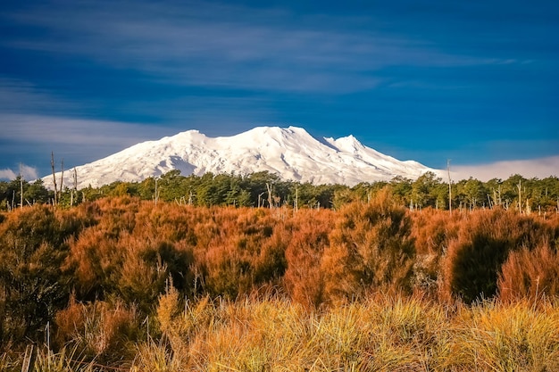 Volcan du mont Ruapehu