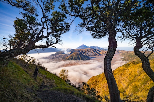 Le volcan étonnant du mont Bromo pendant le ciel ensoleillé du point de vue du roi Kong sur la montagne Penanjakan dans le parc national de Bromo Tengger Semeru, dans l'est de Java, en Indonésie.