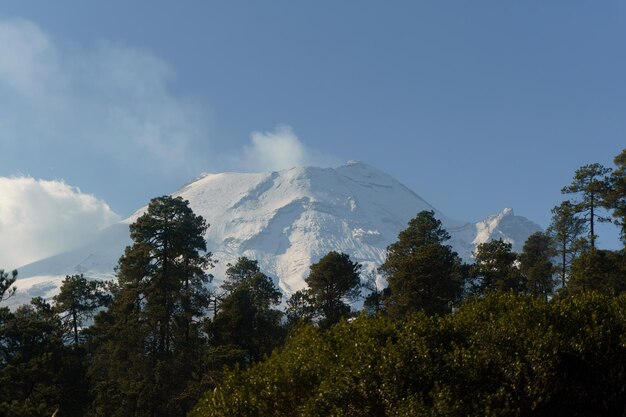 Volcan Popocatepetl fumant et forêt de pins à feuilles persistantes devant lui