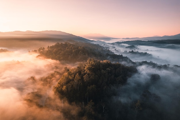 Voler au-dessus du lever du soleil et du brouillard des nuages, sur la colline