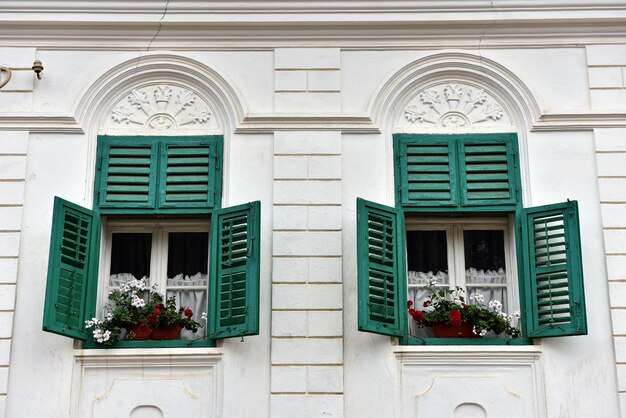 Des volets verts en bois et des fleurs rouges sur une maison