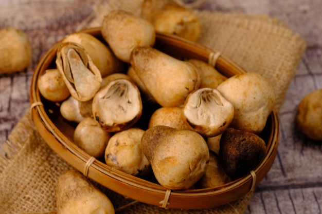 Volvariella volvacea est une espèce de champignon comestible. Champignon à paille. Jamur merang. Gastronomie asiatique.