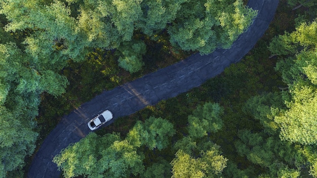 Voyage d'aventure matinal dans la forêt vue aérienne d'une voiture sur la route de la jungle On The Road Again concept et arrière-plan de voyage d'aventure