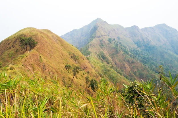 Voyage dans la montagne "Khao Chang Phuak Mountain" Kanchanaburi en Thaïlande