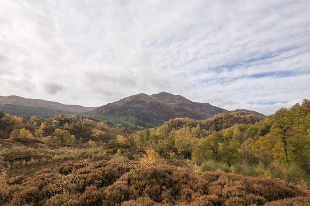 Voyage en Ecosse