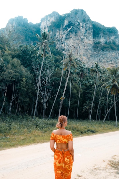 Photo voyage d'été cocotiers et montagnes