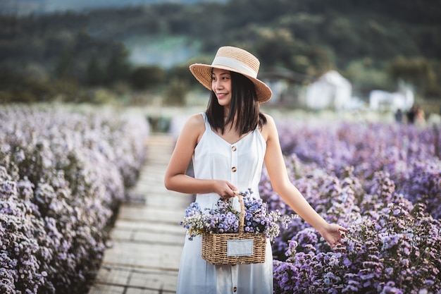 Voyage d'hiver se détendre concept de vacances, jeune femme asiatique de voyageur heureux avec robe visites sur le champ de fleurs de Margaret Aster dans le jardin à Chiang Mai, Thaïlande