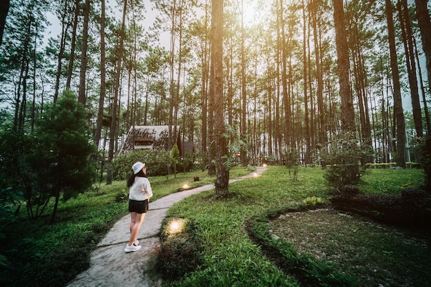 Voyage d'hiver se détendre vacancesPortrait touriste asiatique en robe blanche avec des stands de chapeau dans une cabane en pin dans une forêt de pins vert sur un sentier naturel au parc forestier de Doi Bo LuangChiang Mai Thaïlande