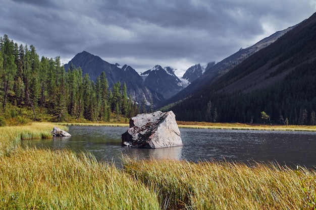 Photo voyage à pied dans les vallées de montagne. la beauté de la faune. altai