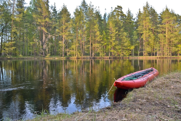 Le voyage sur la rivière du parc national