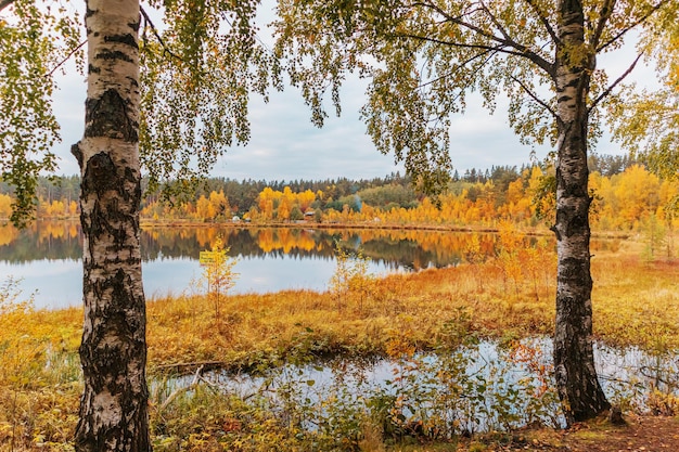 Voyage de tranquillité de paysage d'automne coloré