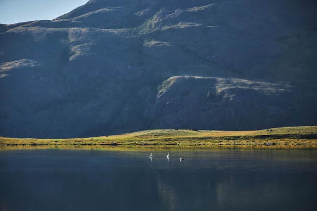 Photo voyage à travers la vallée des montagnes de l'altai les sommets des montagnes les rivières les lacs et les glaciers la frontière de la russie et de la mongolie