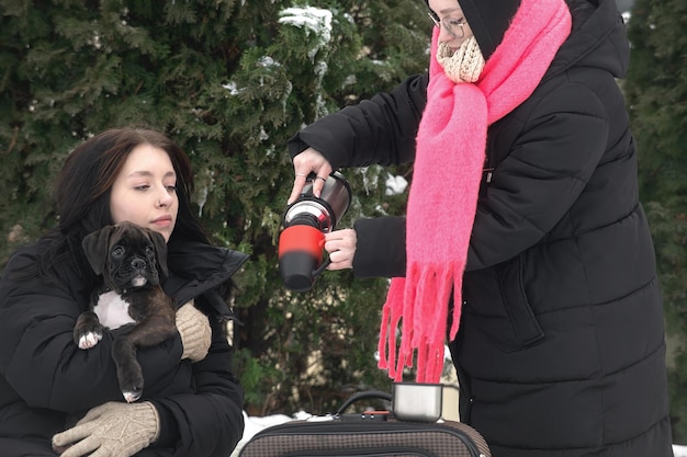 Voyager en hiver avec des animaux de compagnie