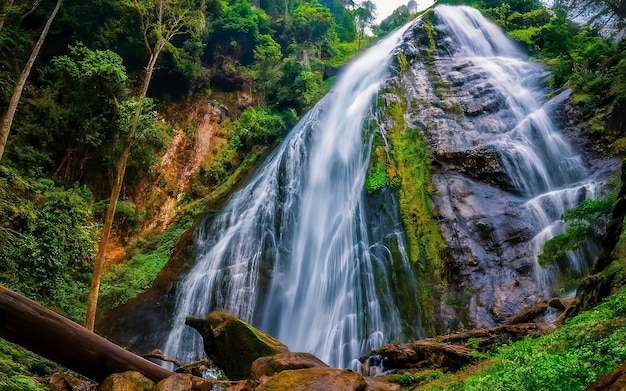 Voyager la plus haute cascade de Chiangmai Maepan cascade forêt de la saison des pluies à Doi intanon