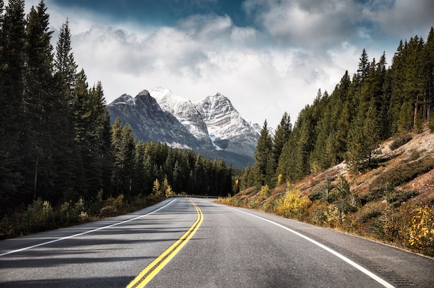 Photo voyager sur la route asphaltée et les montagnes rocheuses dans la forêt de pins du parc national banff