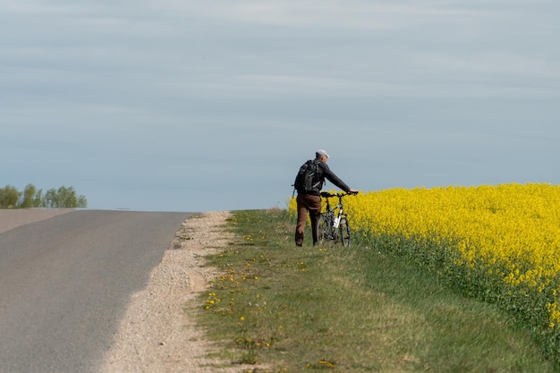 Voyager à vélo L'été pour le cyclotourisme Un cycliste se tient près d'un champ de colza le long d'une route goudronnée