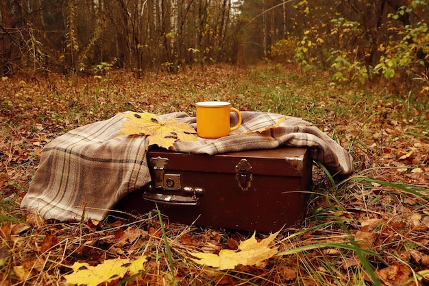 Des voyages d'automne mémorables un mouchoir à carreaux se trouve sur une vieille valise des feuilles d'érable jaunes sont dessus une tasse de thé jaune une route d'automne