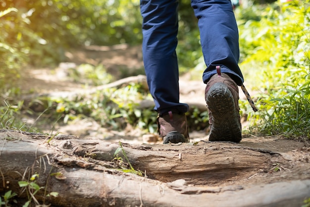 Voyageur en chaussures de randonnée trekking sur un chemin dans la forêt en gros plan