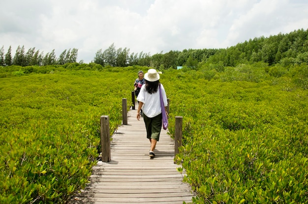 Voyageur femme thaïlandaise marchant sur un pont en bois pour voyager et visiter Golden Mangrove Field nom thaïlandais Tung Prong Thong Forest local Pak Nam Prasae ville de Rayong Thaïlande