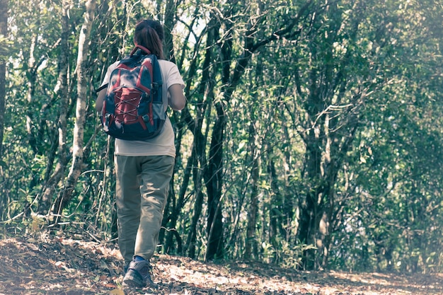 Voyageur de la jeune femme avec sac à dos dans un bois. Randonnée en été.