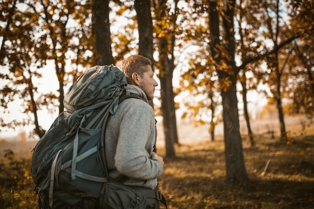 Voyageur marchant le long d'un chemin forestier parmi les arbres