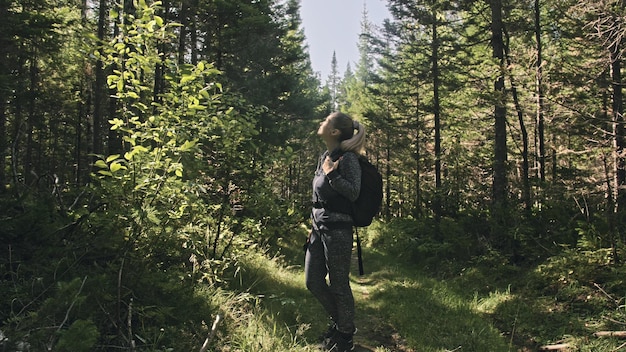 Voyageur photographiant une vue panoramique dans la forêt