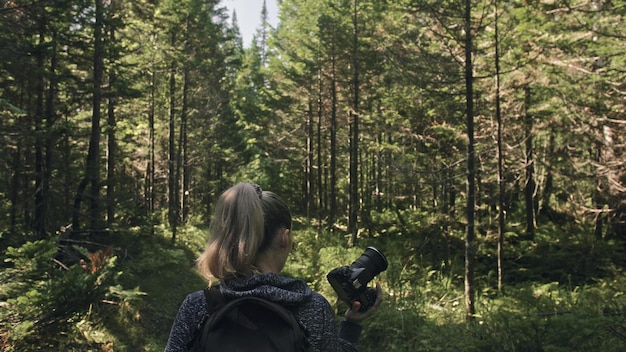 Voyageur photographiant une vue panoramique dans la forêt