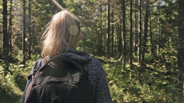 Voyageur photographiant une vue panoramique dans la forêt
