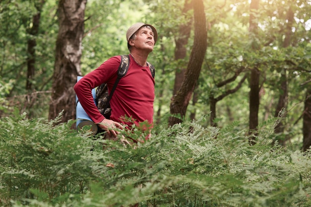 Voyageur senior marchant dans la forêt, portant des vêtements décontractés, porte un sac à dos avec tapis, debout avec les mains sur les hanches