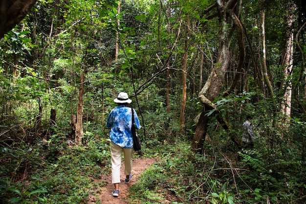 Voyageurs thaïlandais femmes personnes sentier pédestre randonnée et trekking voyage visite en forêt visite cascade Tham Buang sur Phu Foi Lom dans la réserve forestière nationale de Pa Phan Don à Udon Thani en Thaïlande