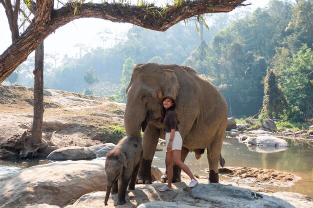 Une voyageuse avec la mère et les bébés éléphants dans la forêt