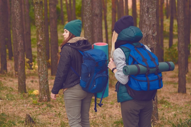 Voyageuses de retour dans la forêt de pins.