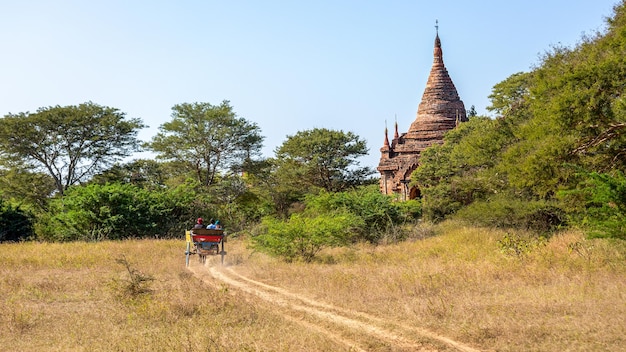 Voyagez en calèche près des pagodes de Mandalay. Birmanie