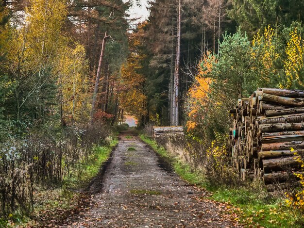 Photo vreden en allemagne