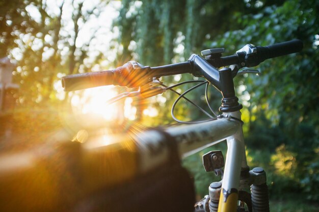 VTT dans la forêt au coucher du soleil