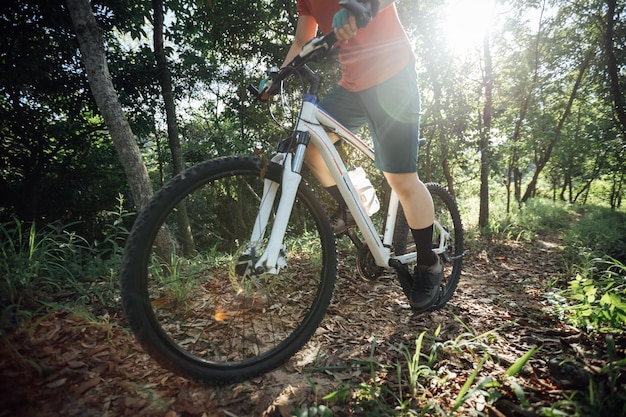 VTT en forêt d'été