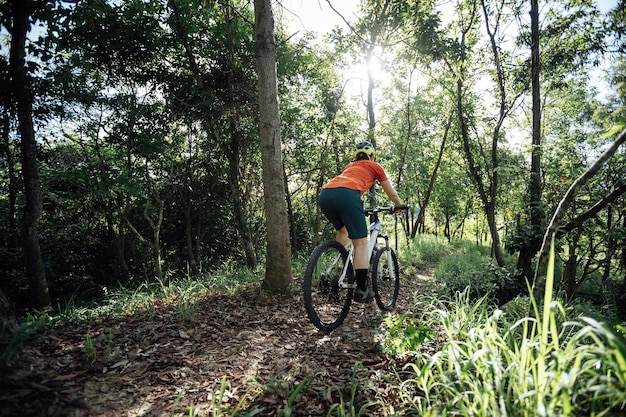 VTT en forêt d'été