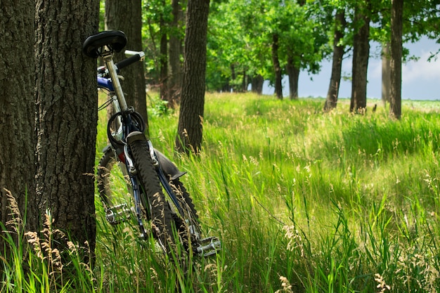 VTT près d&#39;un arbre dans une clairière forestière