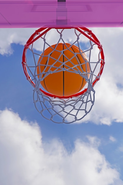Vue 3D des éléments essentiels du basket