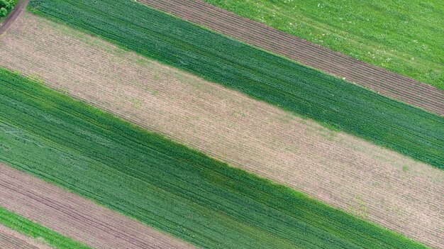 Vue aérienne abstraite d'un paysage agricole de pays