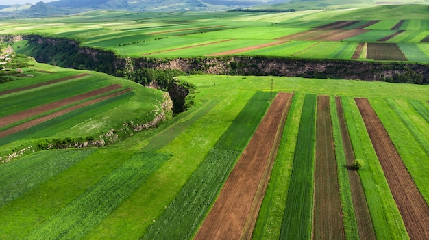 Vue aérienne abstraite d'un paysage agricole de pays