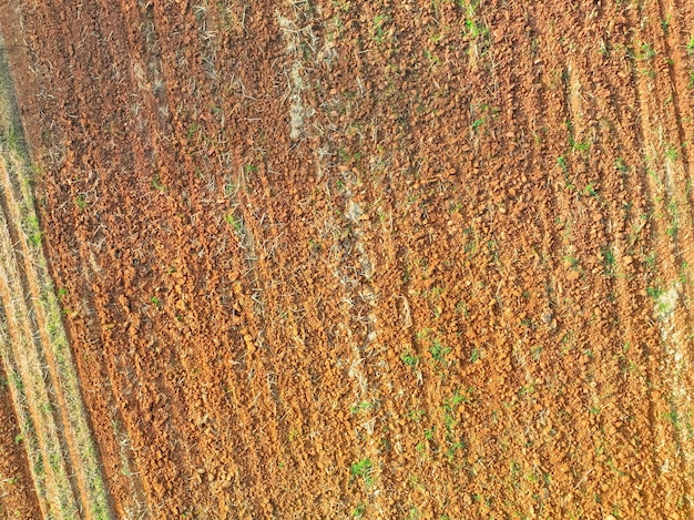 Vue aérienne de l'agriculture sur le champ labouré Travail minimal pour des sols plus sains Sol fertile en organique