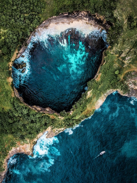 Vue aérienne des arbres et du lagon depuis la mer